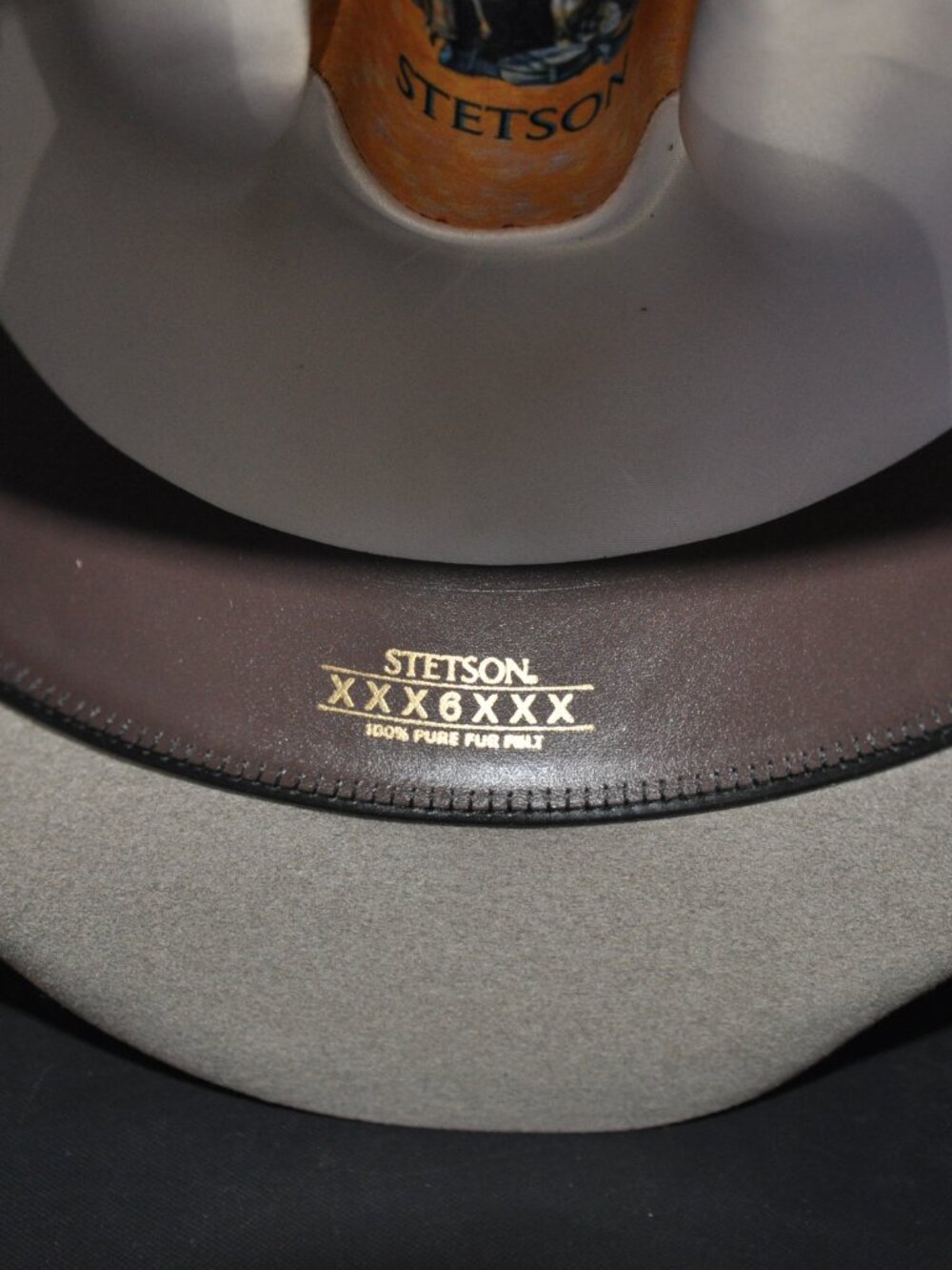 Stetson Falcon - Picture 7 of 7